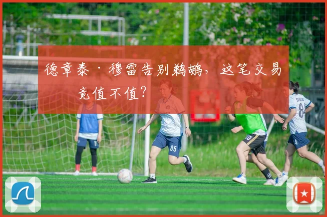 德章泰·穆雷告别鹈鹕，这笔交易究竟值不值？